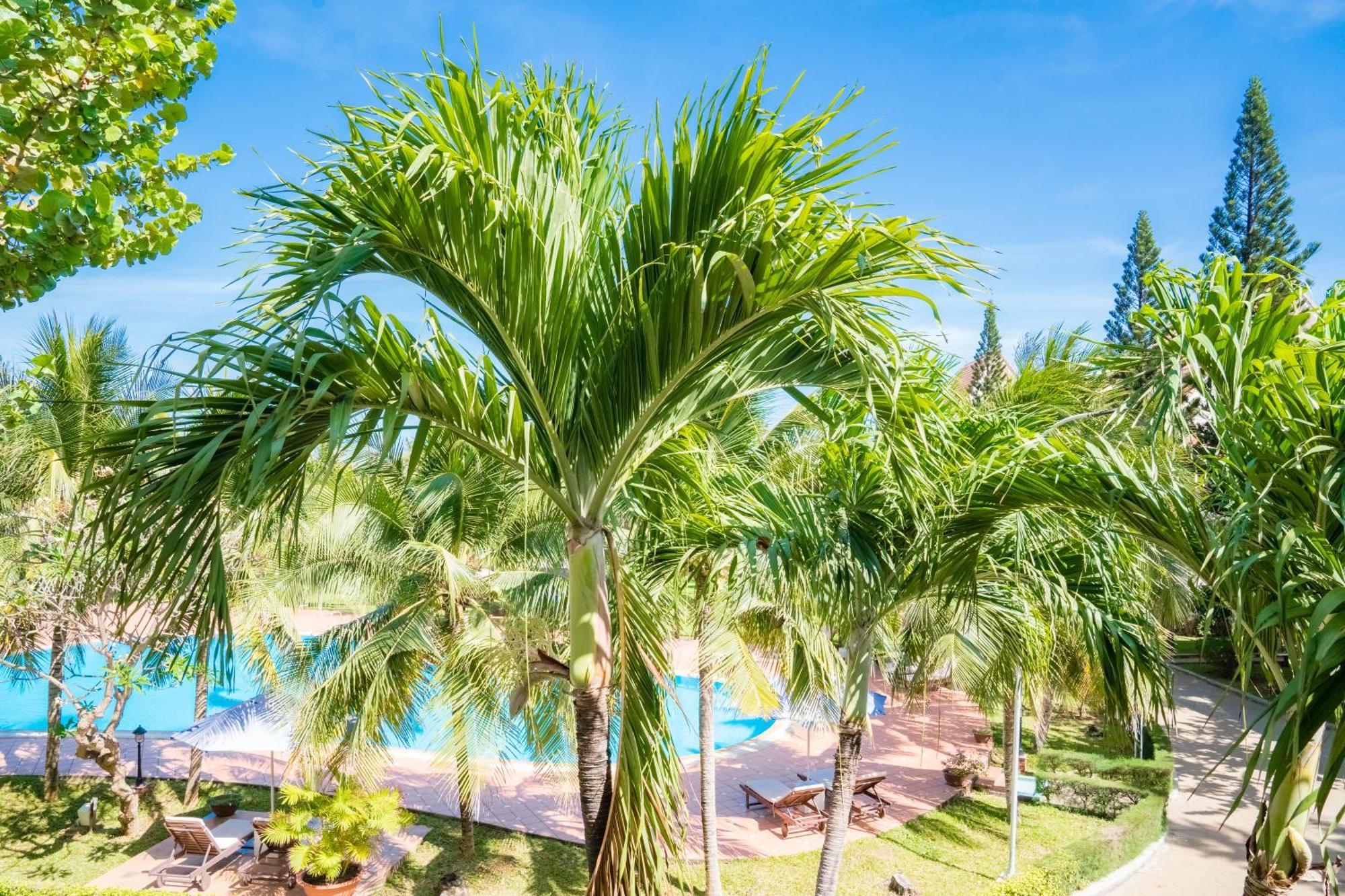Lotus Vung Tau Resort & Spa Kültér fotó